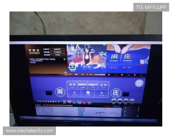 了解ag百家乐试玩的详细玩法与技巧,助你轻松提升游戏胜率实现盈利