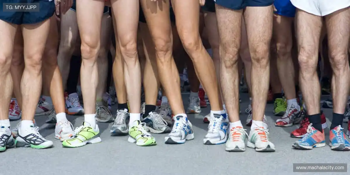 安卓苹果互通手游:数据互通跨端对战,随时随地畅享竞技